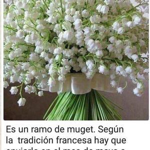 Meet your Posher, Martha